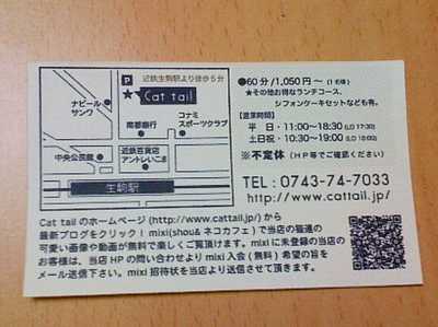 100627_CatTail3_生駒.jpg